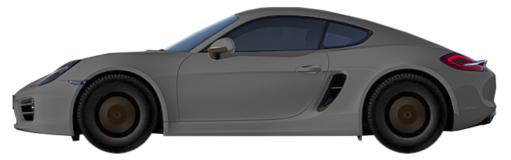 Porsche 718 982 Cayman (2016-2018) 2.5 GTS